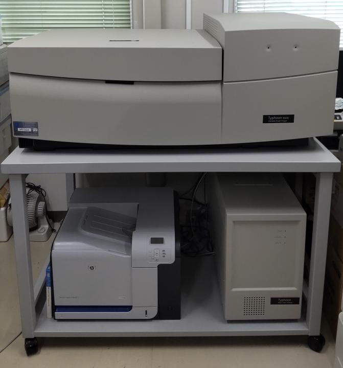 蛍光2次元ディファレンシャル解析システム